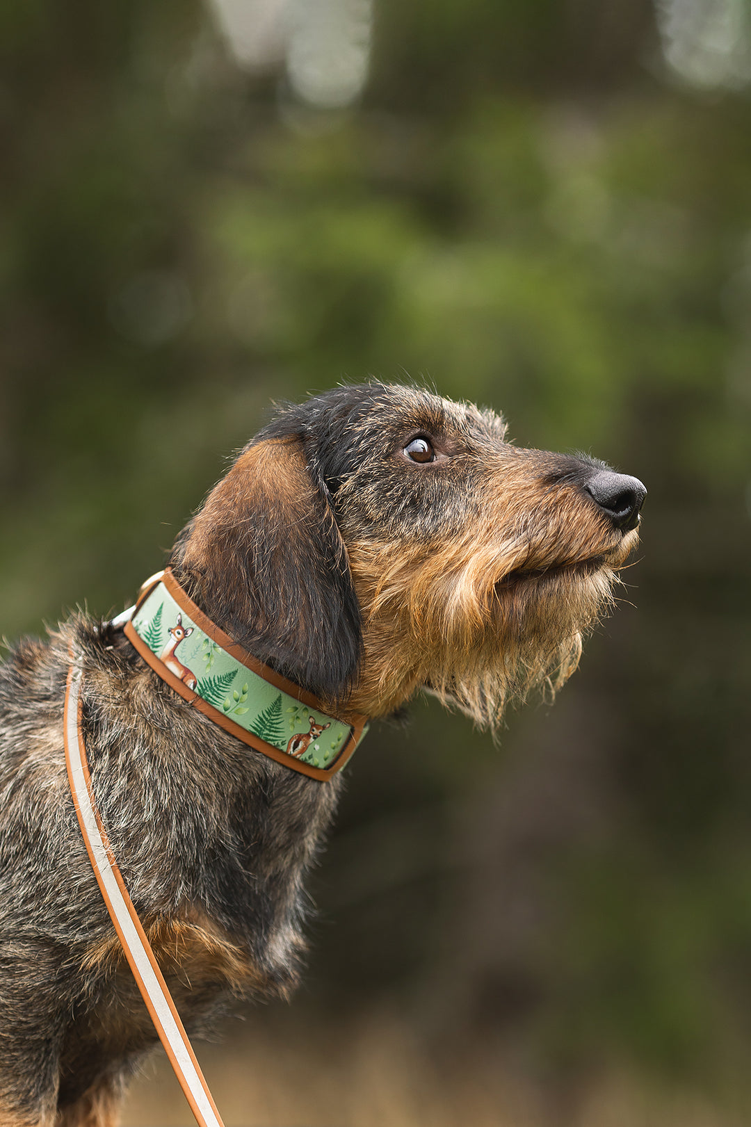 13mm wide *Shine EAZY* leash