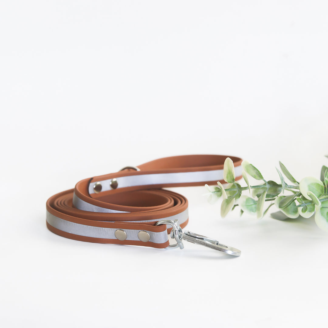 19mm wide *Shine EAZY* leash