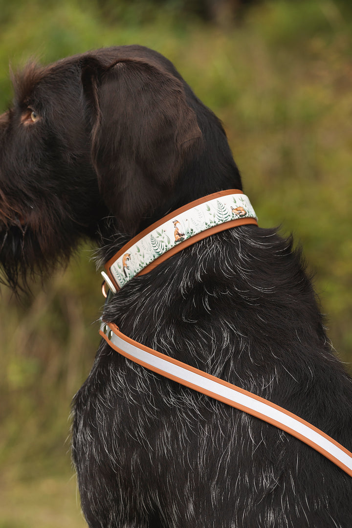 19mm wide *Shine EAZY* leash