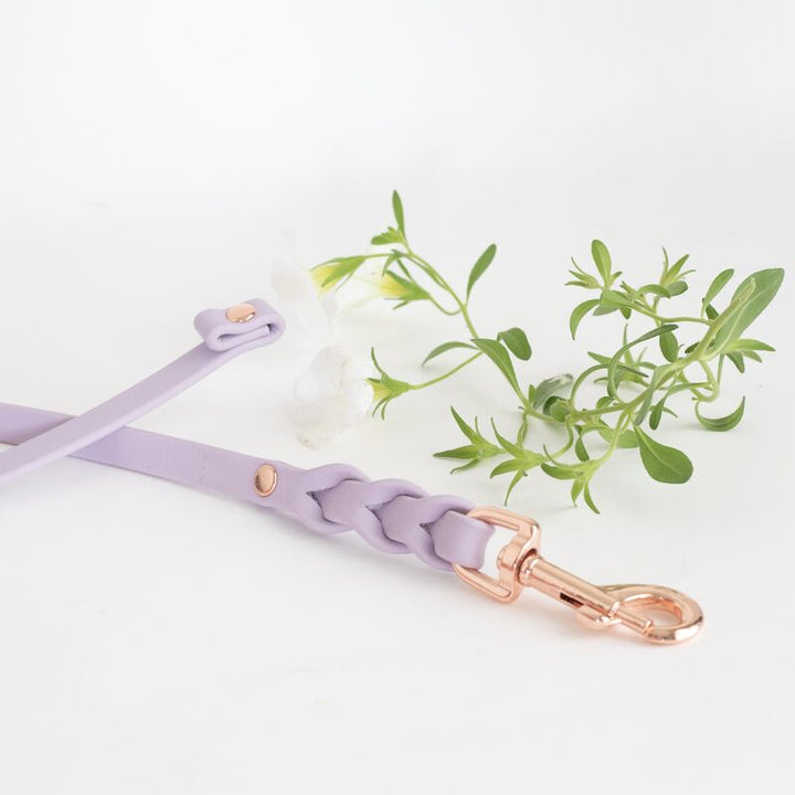 *BRAID* näyttelyhihna