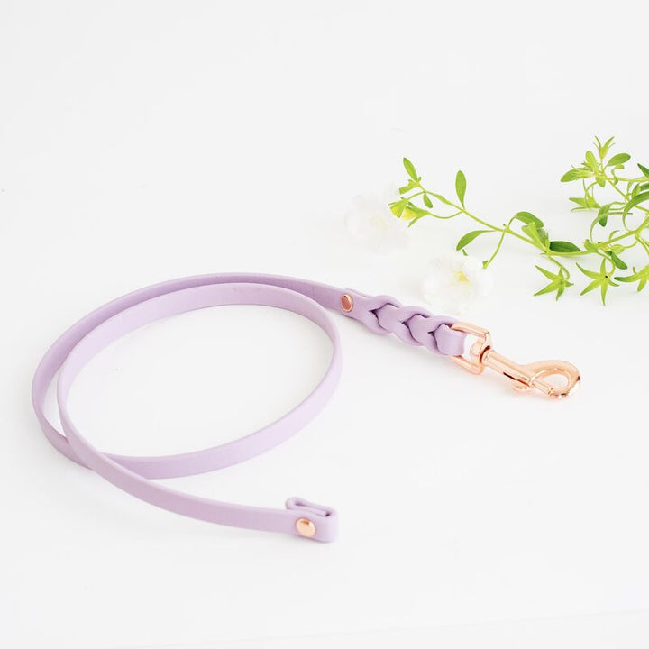 *BRAID* näyttelyhihna