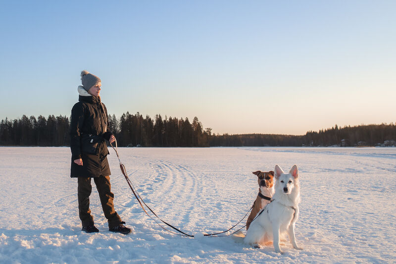 *Shine READY* käsilenkki