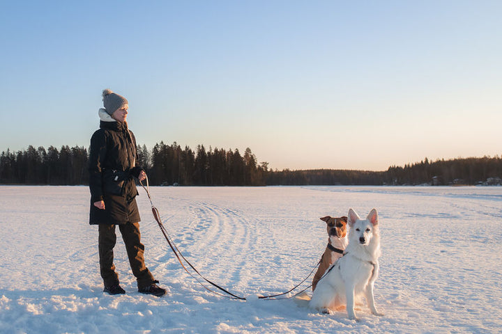 *Shine READY* käsilenkki