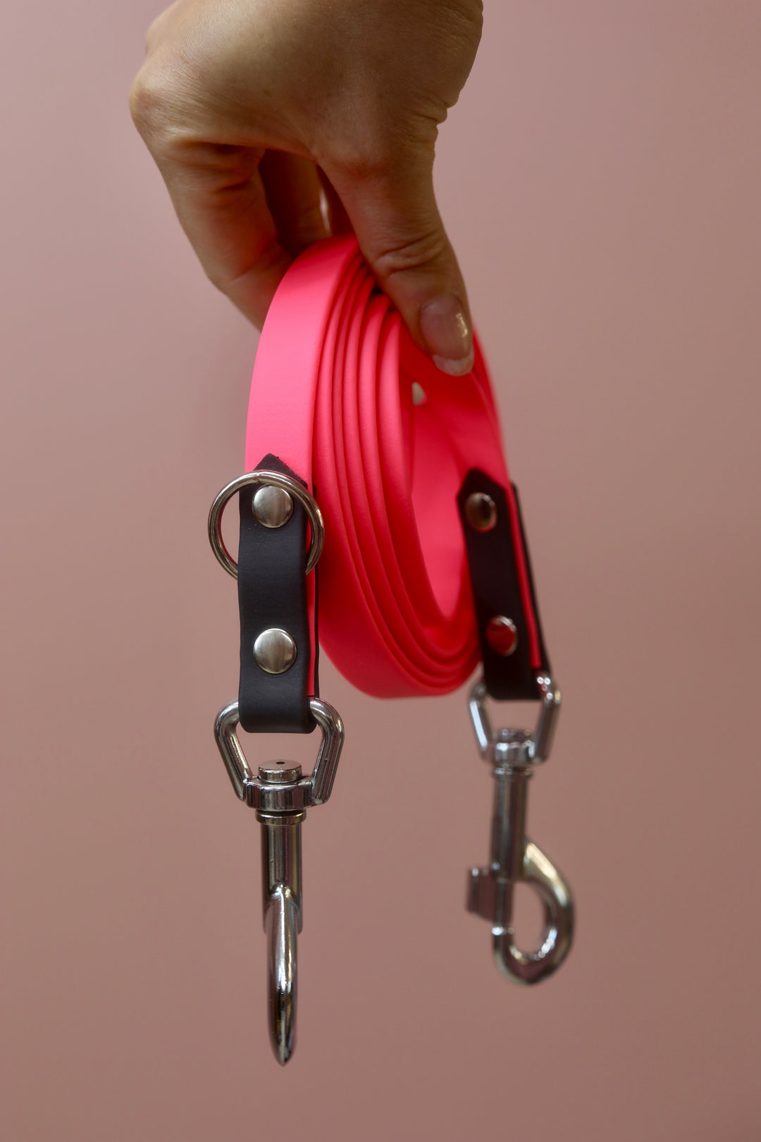 *BICOLOR* hihna, leveys 16mm