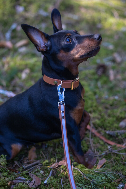 13mm leveä *Shine EAZY* hihna