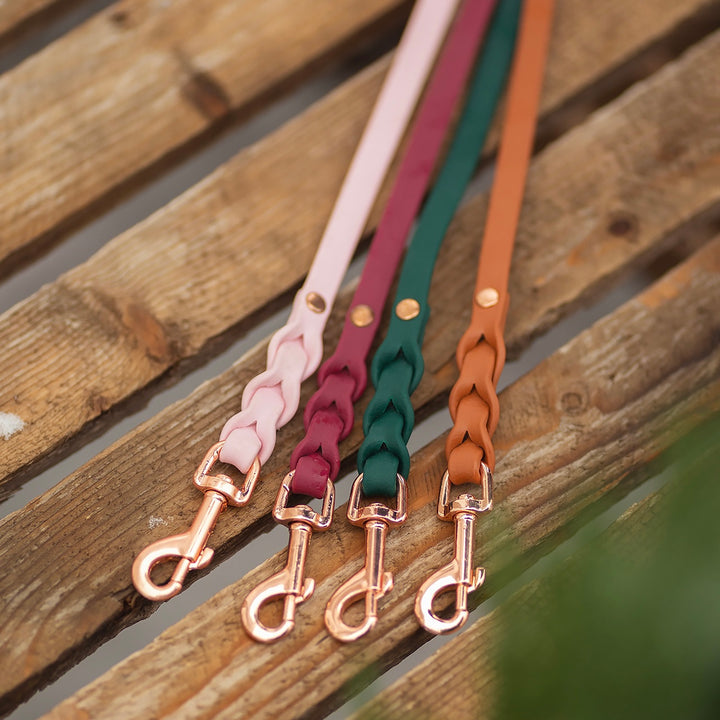 *BRAID* näyttelyhihna