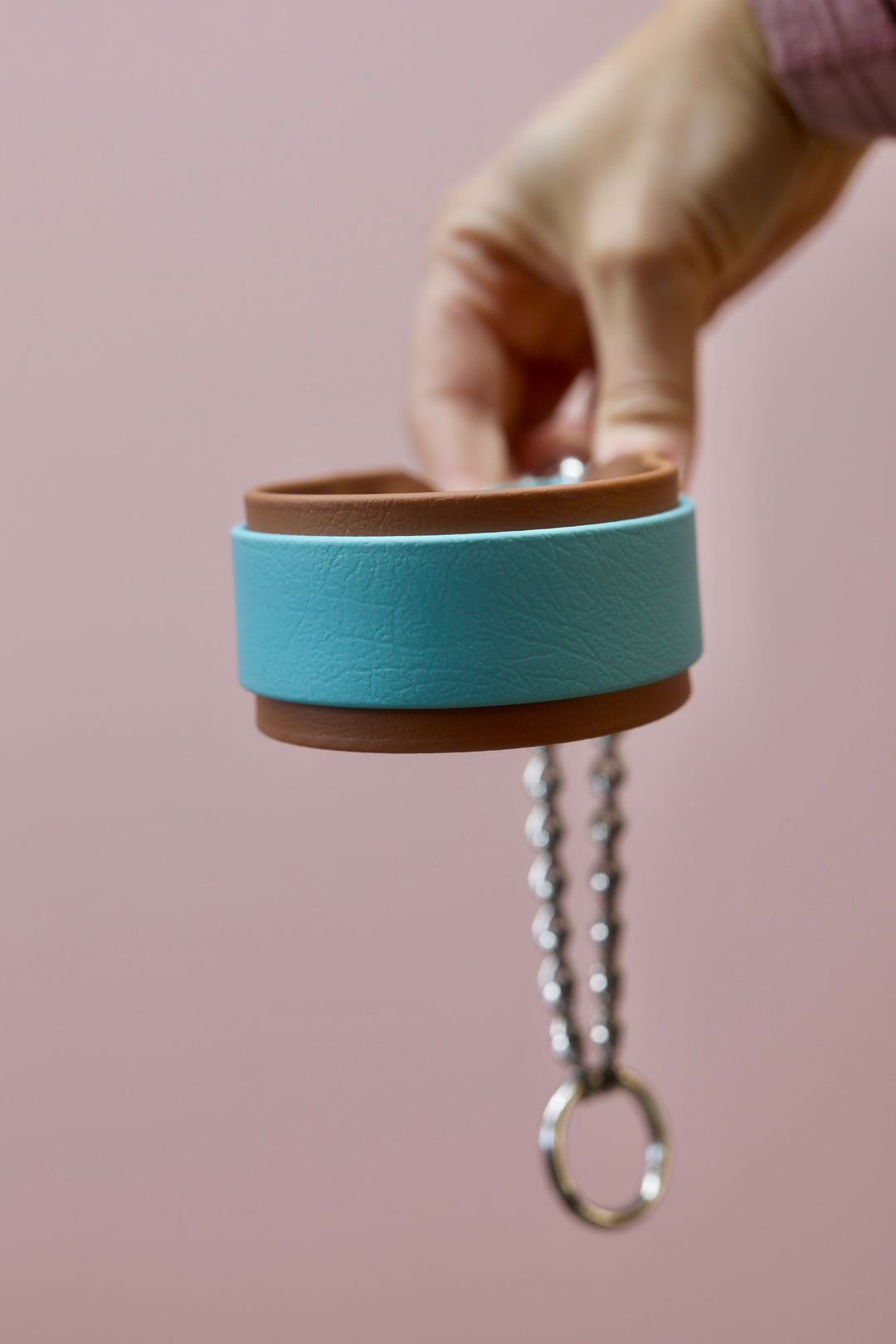 *CLEVER* collar
