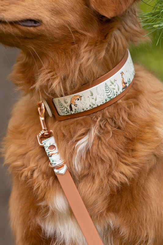 *UNIQUE* leash, width 16 mm
