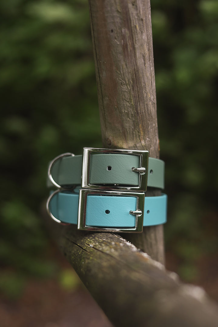 *CLASSY* collar
