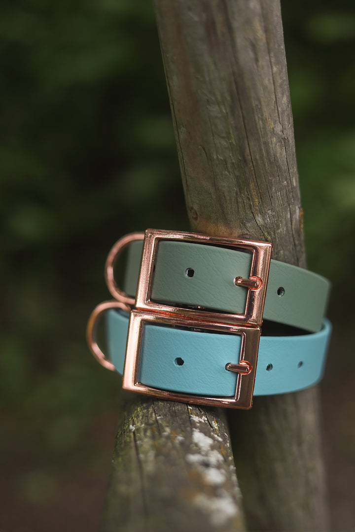 *CLASSY* collar