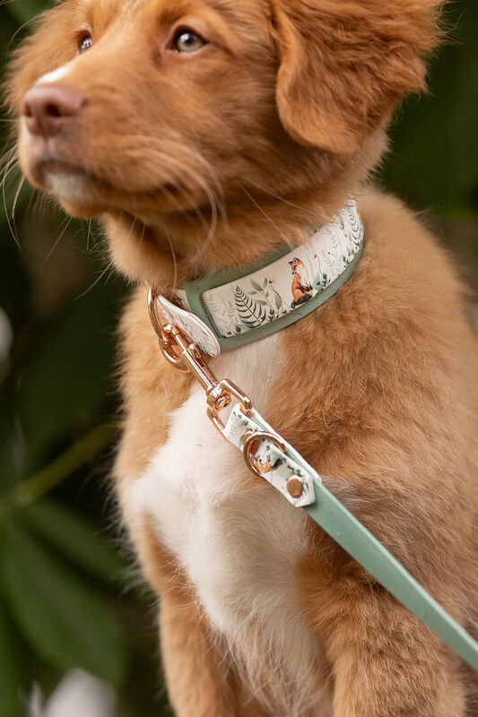 *UNIQUE* leash, width 16 mm