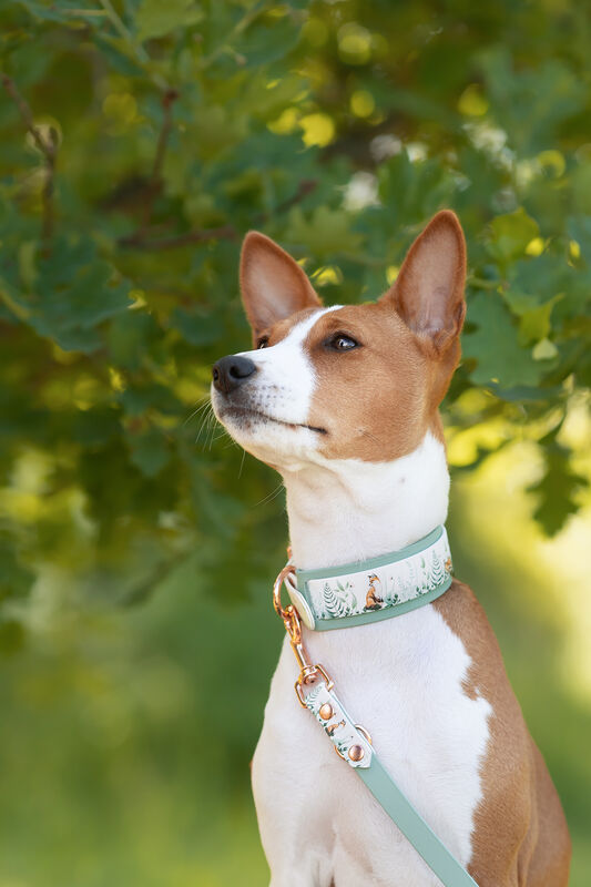 *UNIQUE* leash, width 16 mm