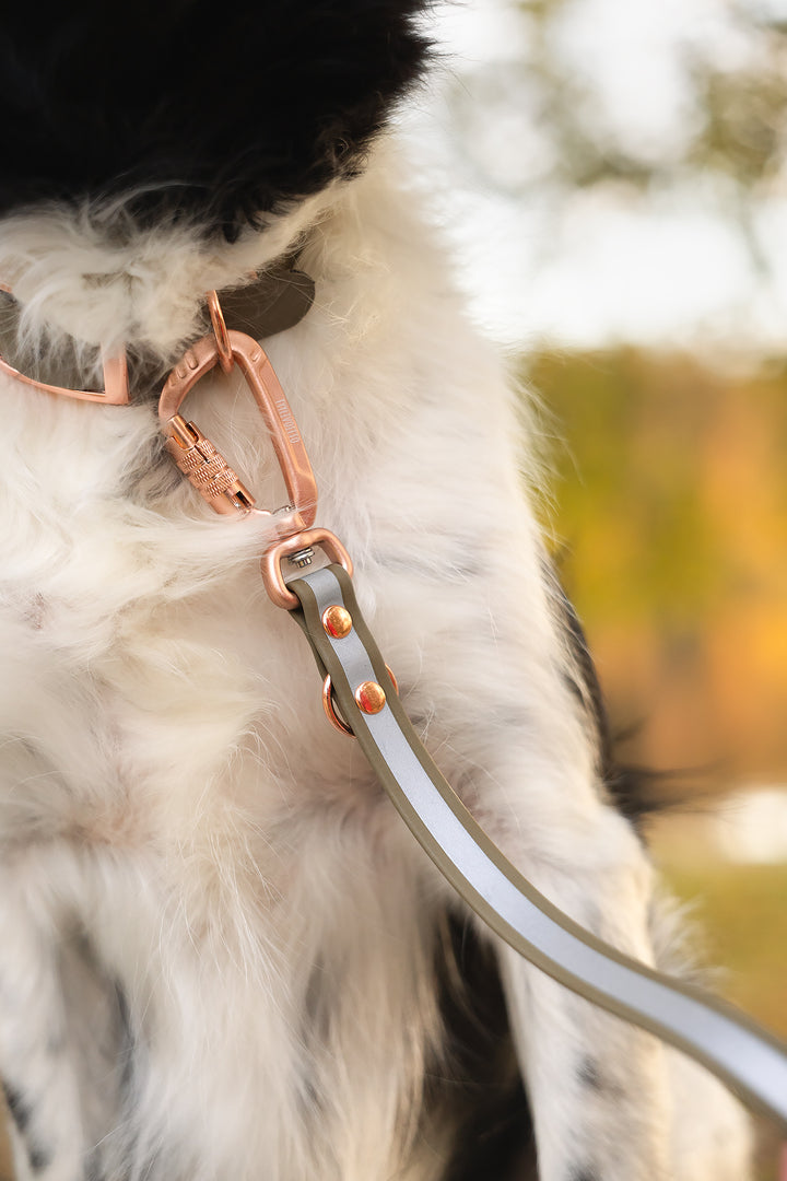 19mm leveä *Shine EAZY* hihna