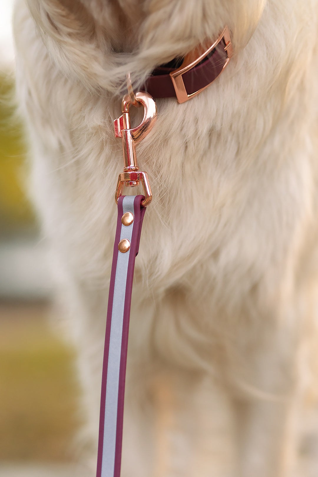 19mm leveä *Shine EAZY* hihna