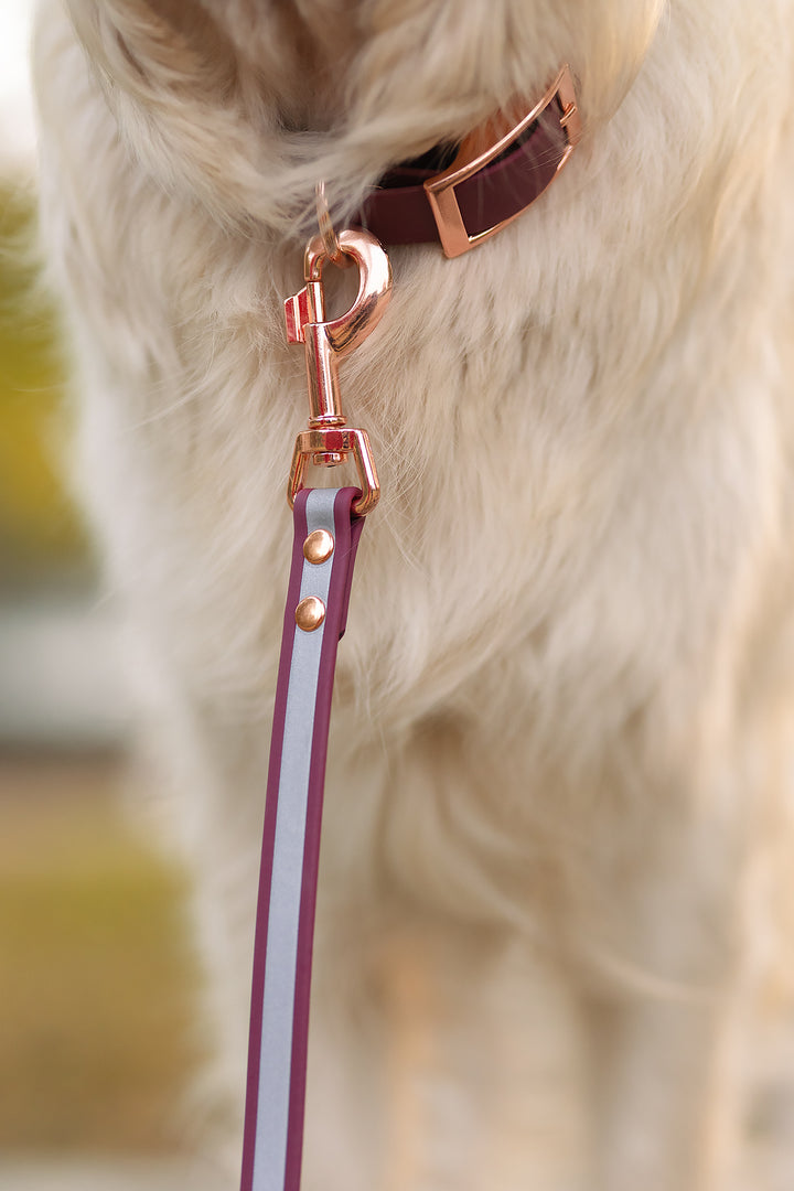 19mm leveä *Shine EAZY* hihna