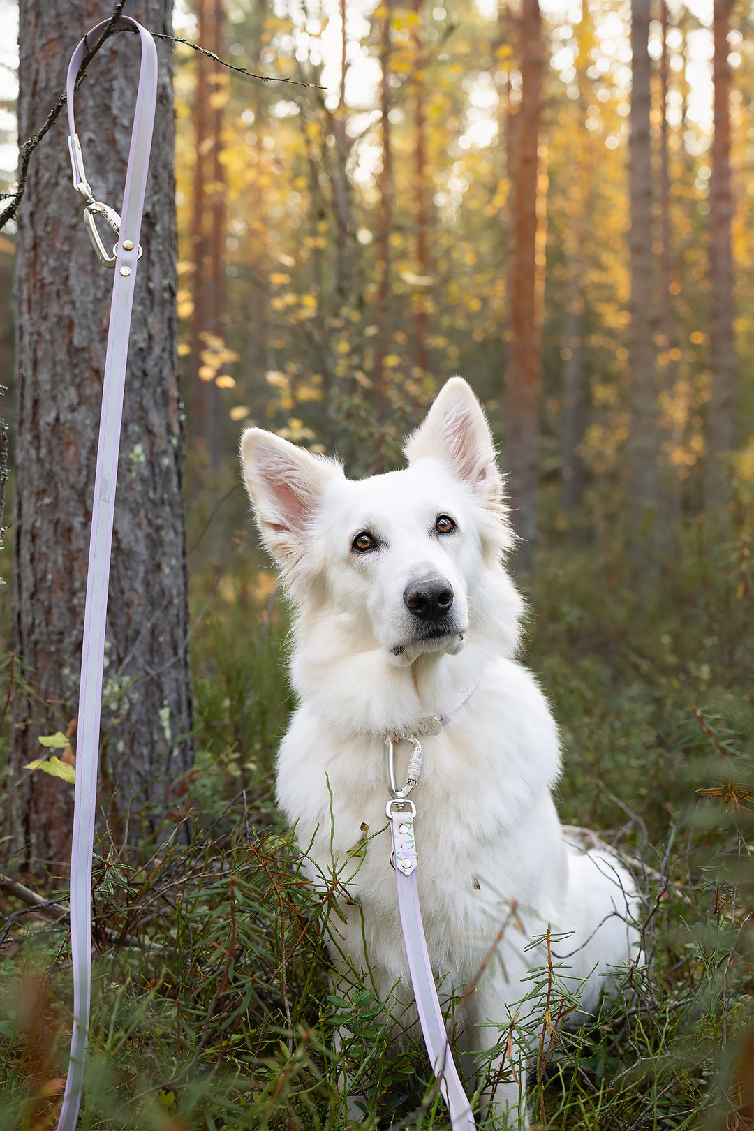 *UNIQUE Shine* heijastinhihna