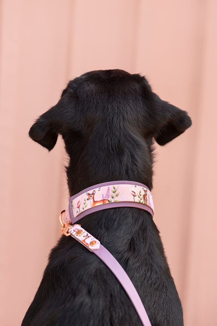 *UNIQUE* leash, width 16 mm
