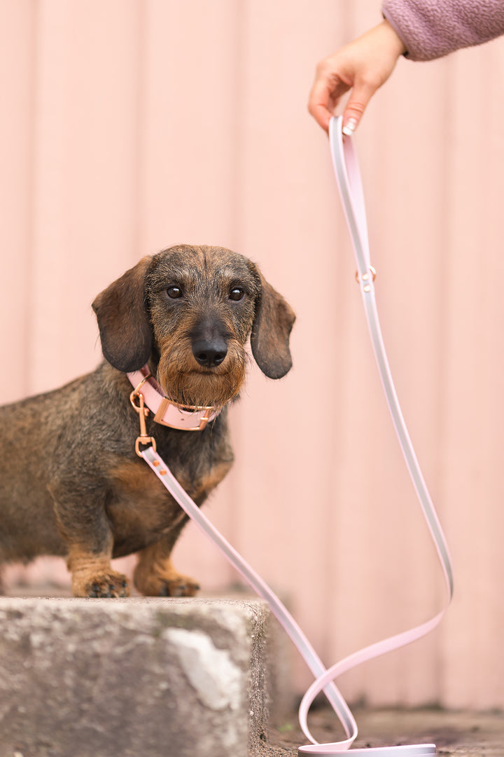 13mm leveä *Shine EAZY* hihna