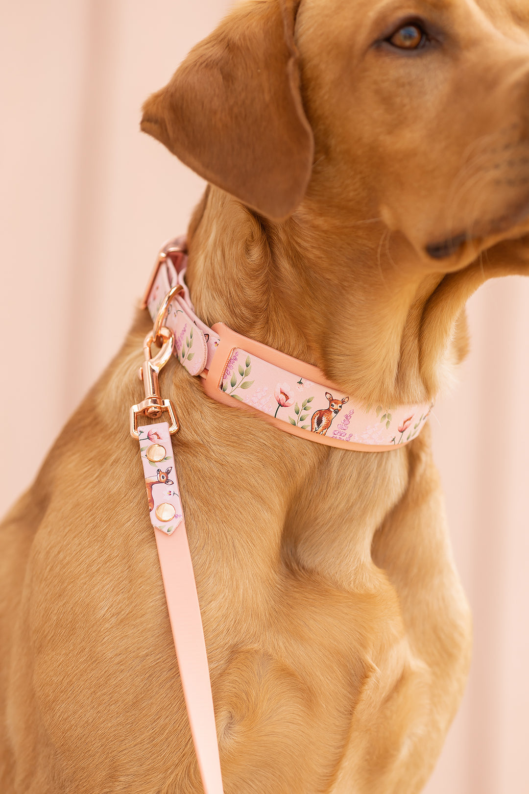 *UNIQUE* leash, width 16 mm