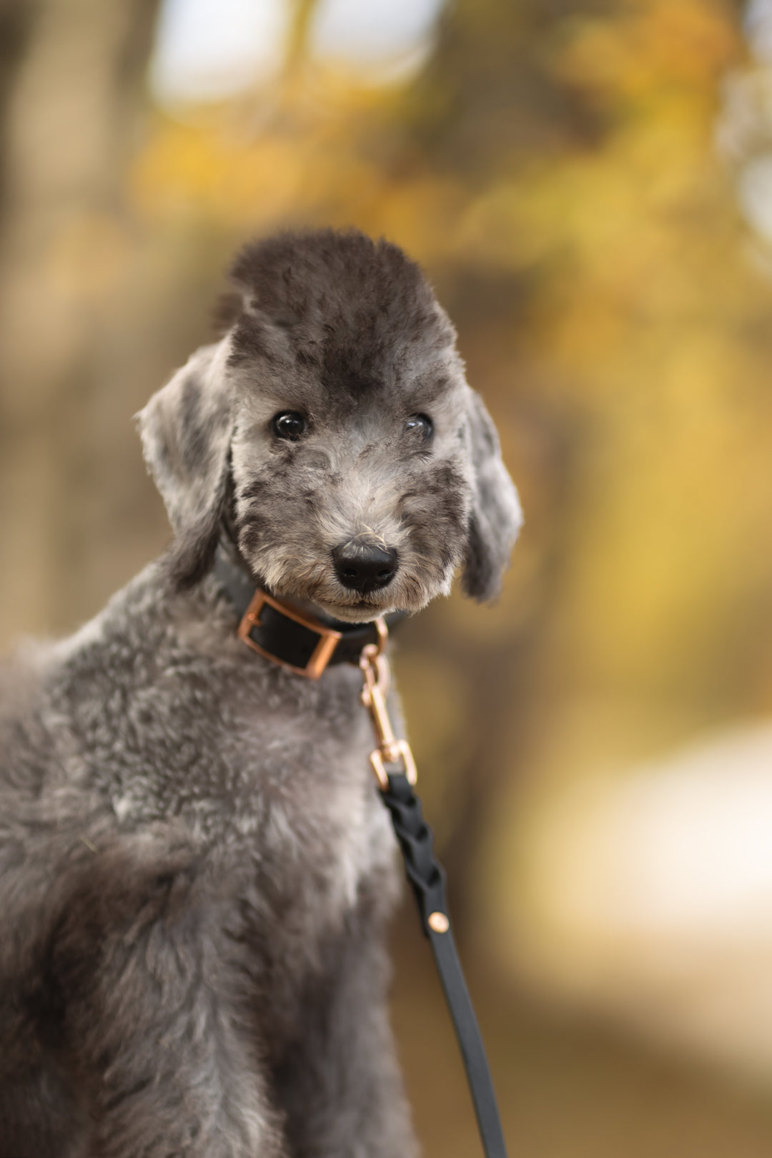 9mm leveä *BRAID* hihna