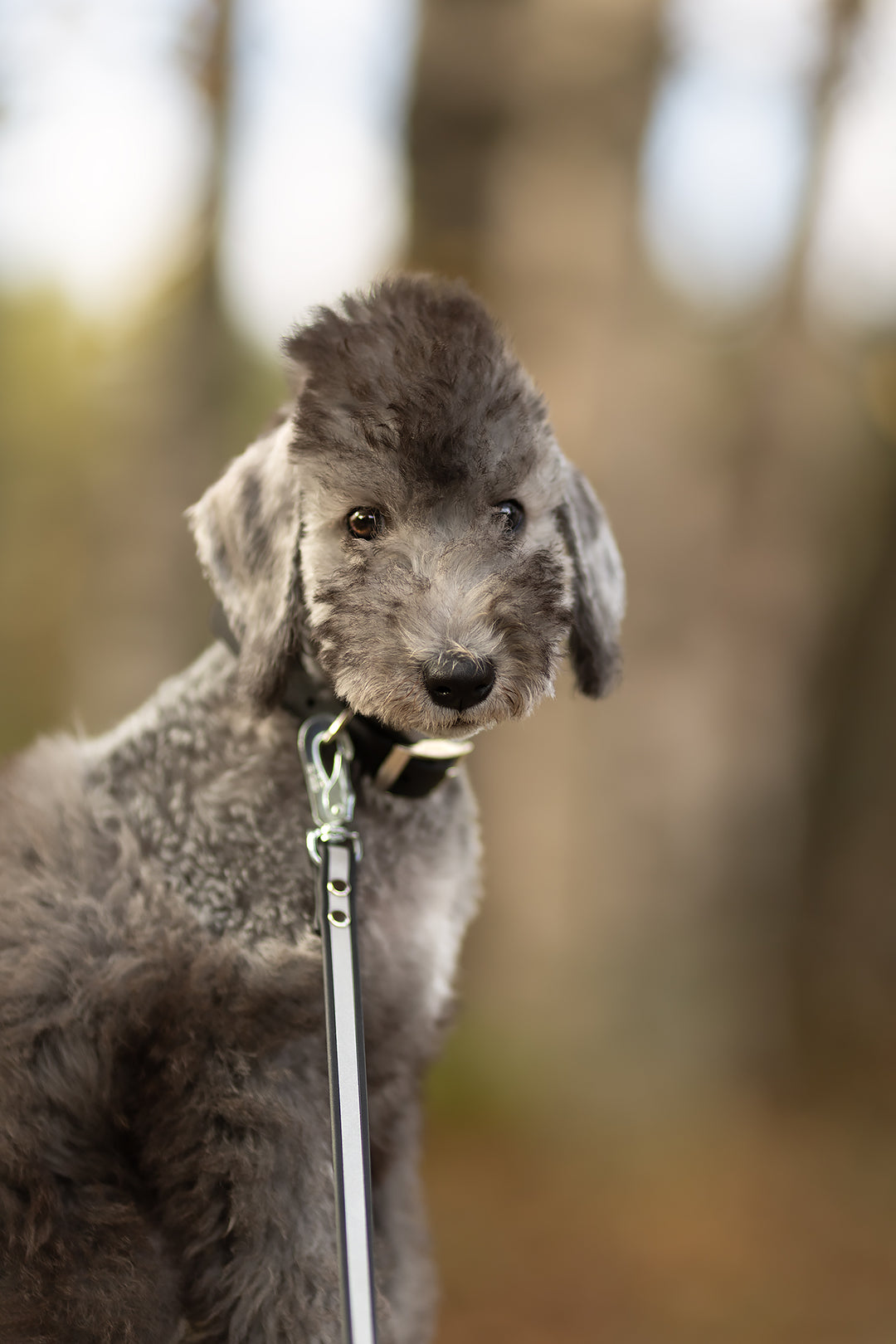 13mm leveä *Shine EAZY* hihna