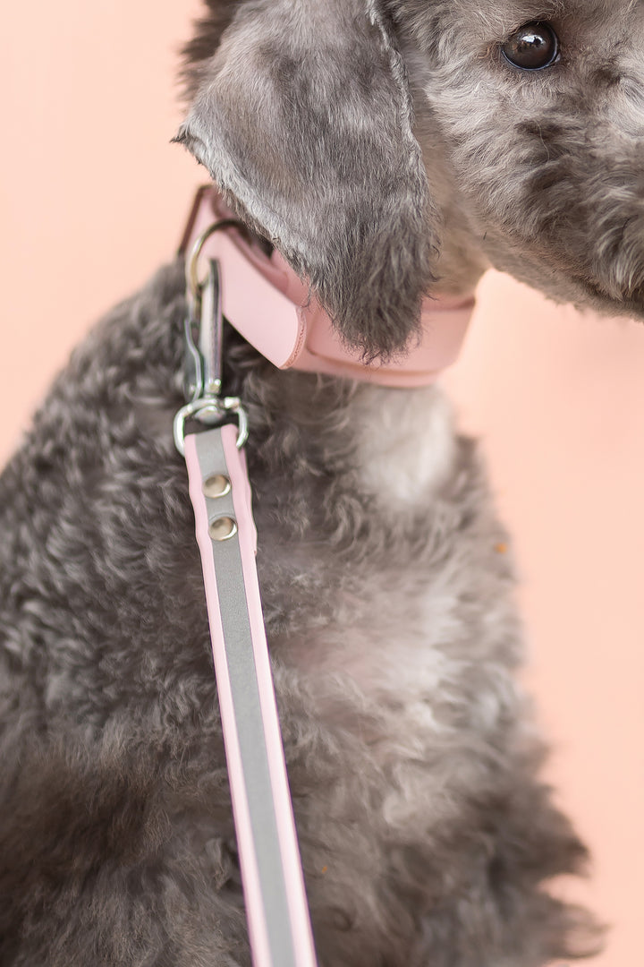 13mm leveä *Shine EAZY* hihna