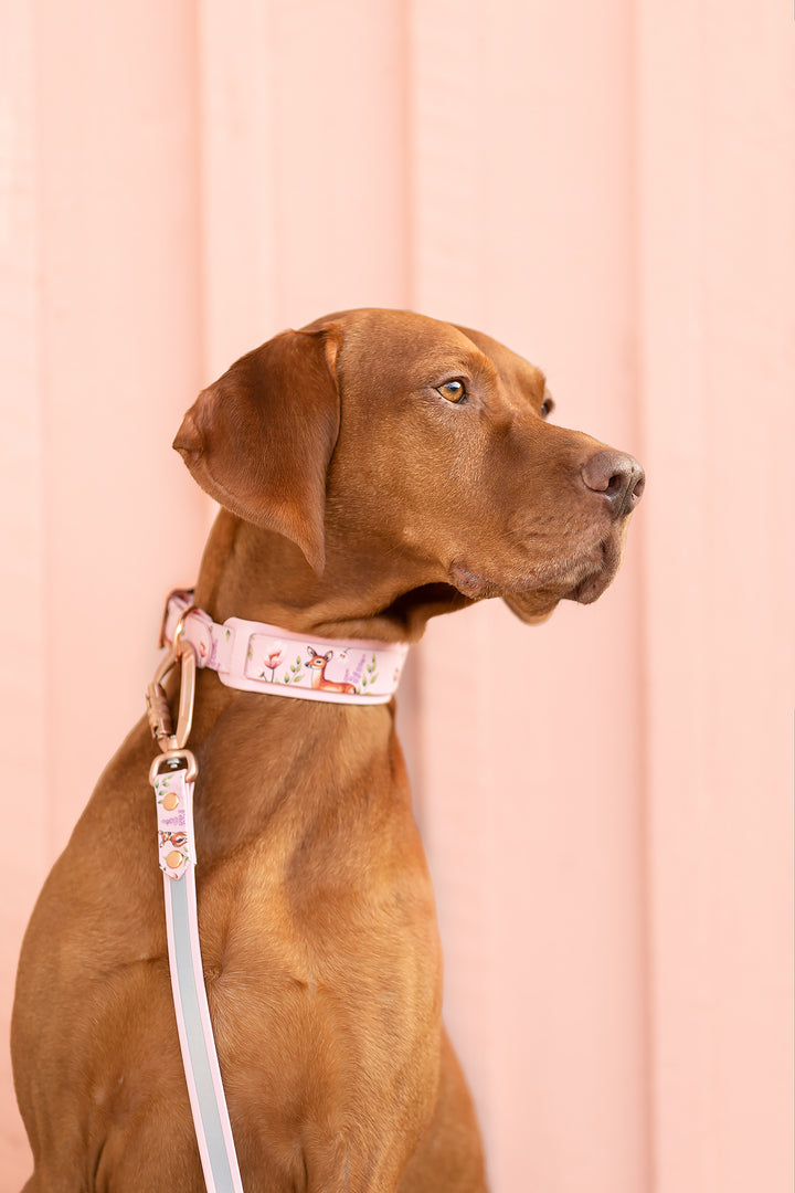 *UNIQUE Shine* heijastinhihna