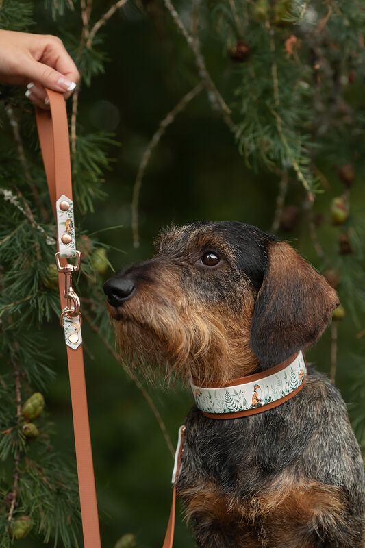 *UNIQUE* leash, width 16 mm