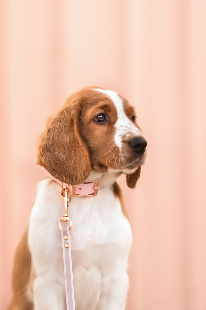 13mm leveä *Shine EAZY* hihna