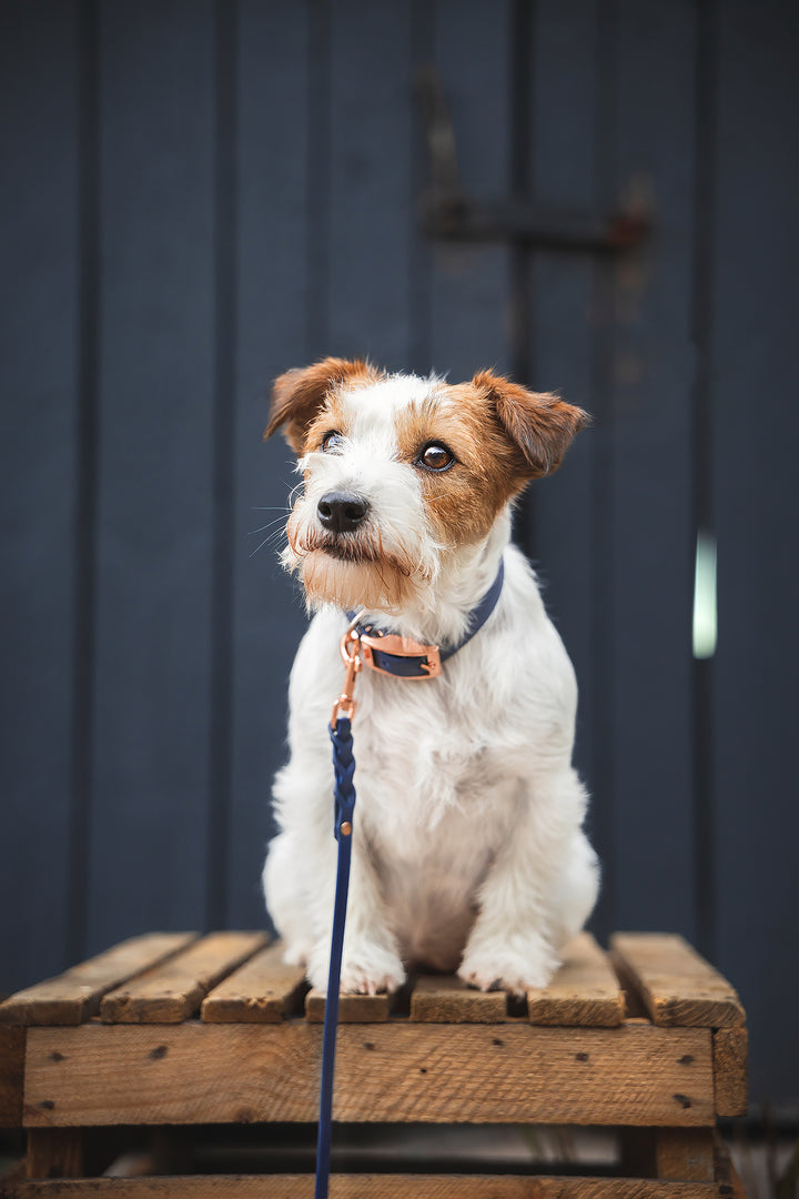 9mm leveä *BRAID* hihna