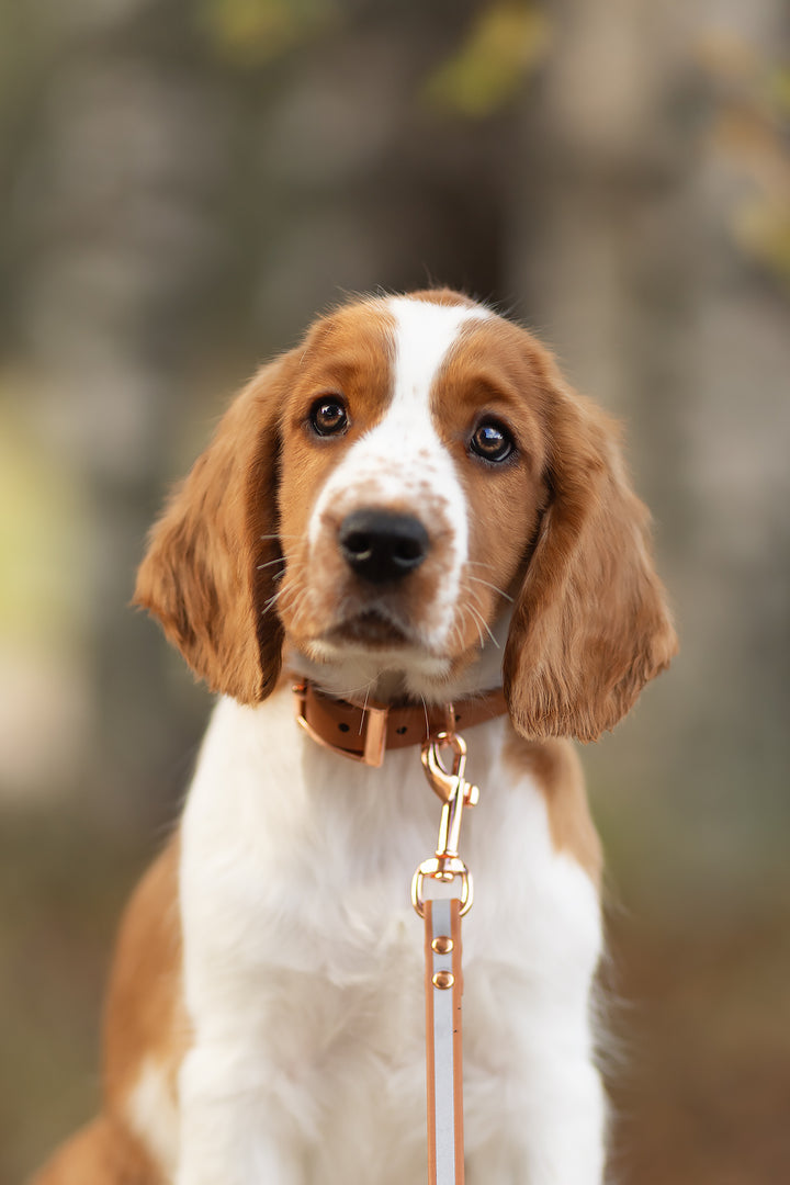 13mm leveä *Shine EAZY* hihna