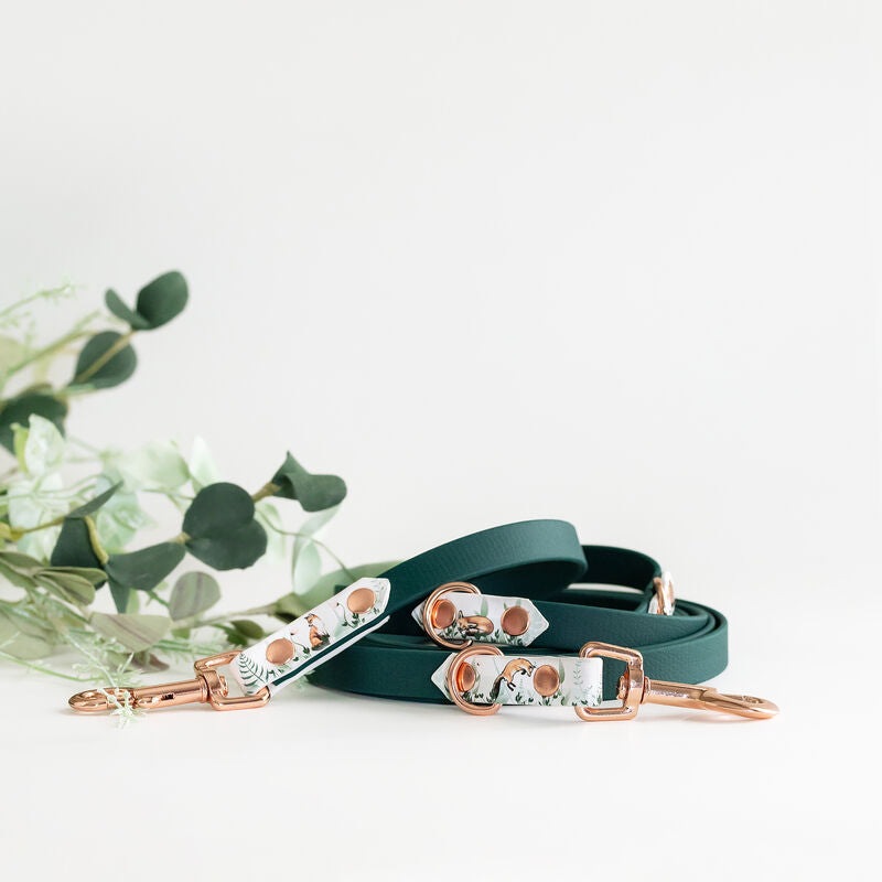 *UNIQUE* leash, width 16 mm