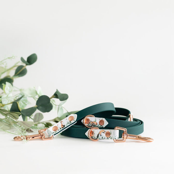 *UNIQUE* leash, width 16 mm