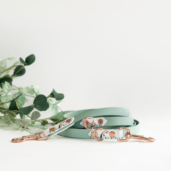 *UNIQUE* leash, width 16 mm