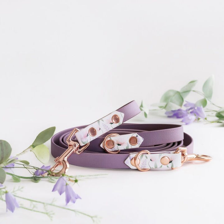 *UNIQUE* leash, width 16 mm