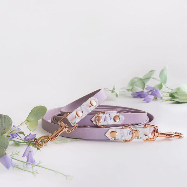 *UNIQUE* leash, width 16 mm