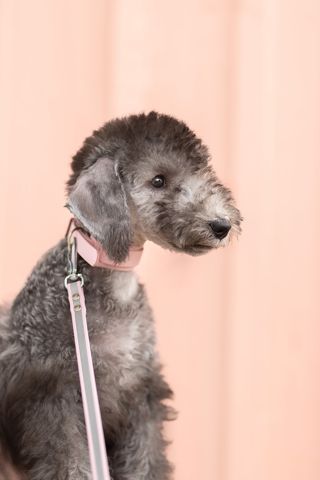 13mm leveä *Shine EAZY* hihna