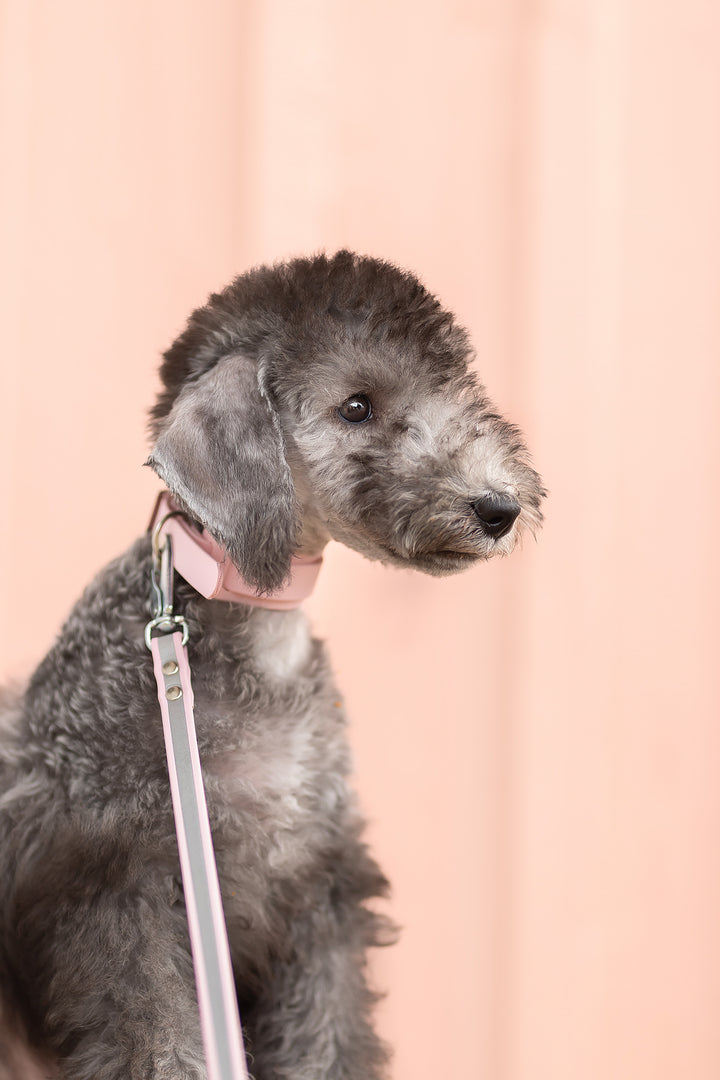 13mm leveä *Shine EAZY* hihna