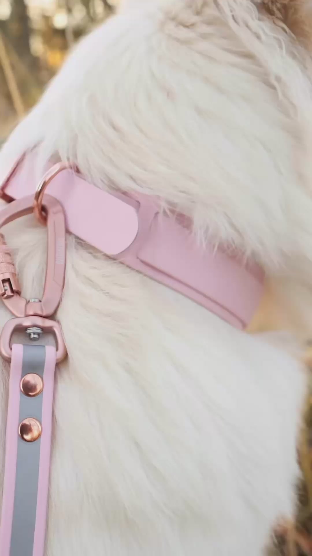 19mm leveä *Shine EAZY* hihna