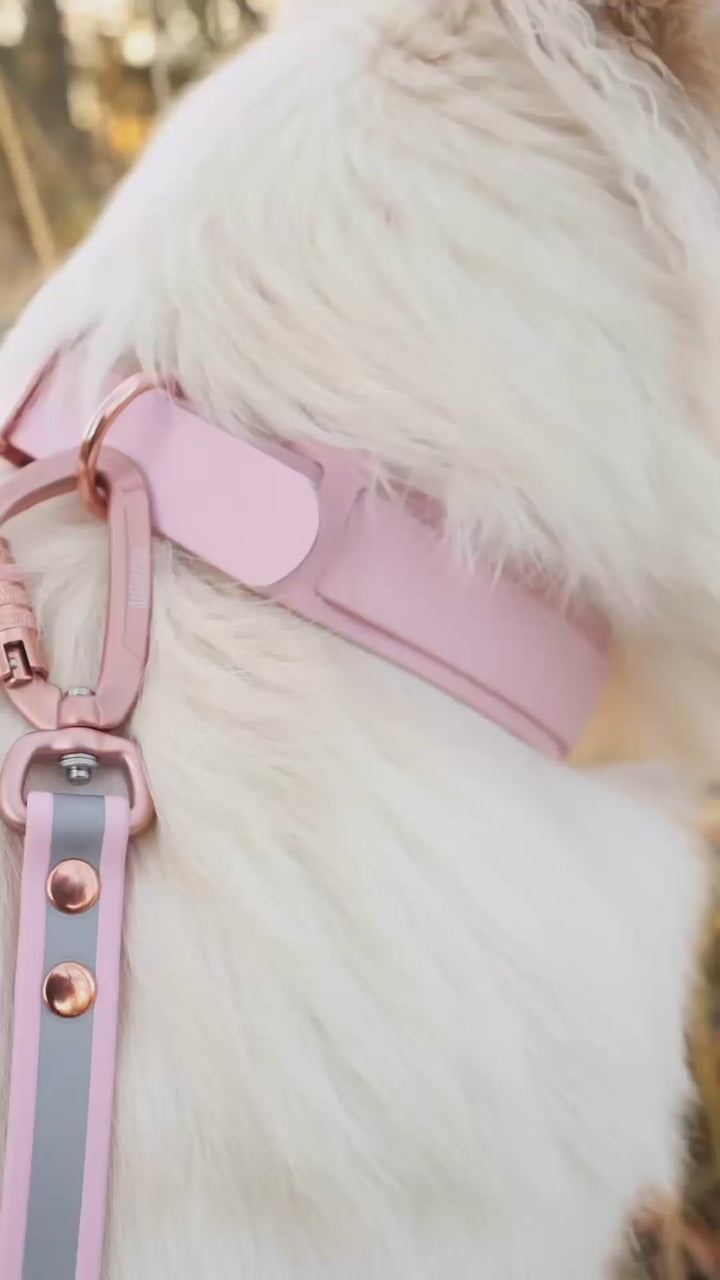 19mm leveä *Shine EAZY* hihna