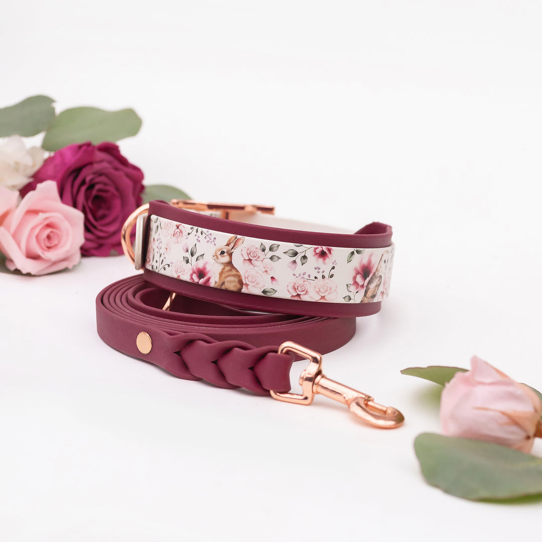 Collar extender